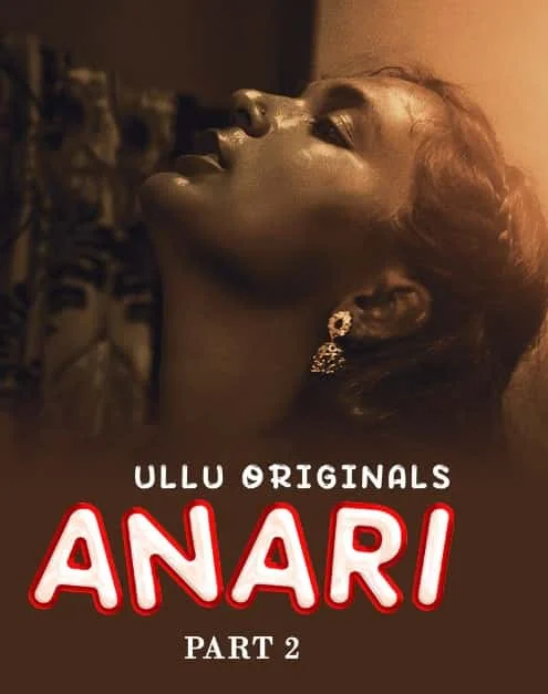 Anari Part 2 (2023) Hindi