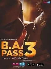 B.A. Pass 3 (2021) Hindi