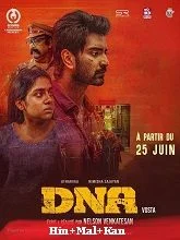 DNA (2025) Hindi