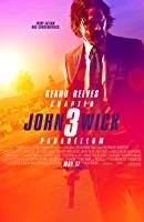 John Wick 3 - Parabellum (2019) Hindi Dubbed
