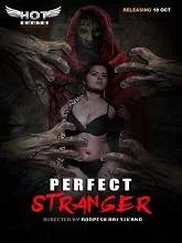 Perfect Stranger (2020) Hindi
