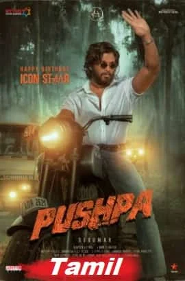 Pushpa: The Rise - Part 1 (2021) Telugu