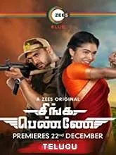Shivangi (2021) Telugu Season 1 Episodes (01-13)