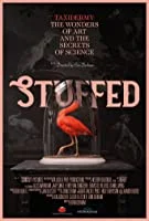 Stuffed (2019) English
