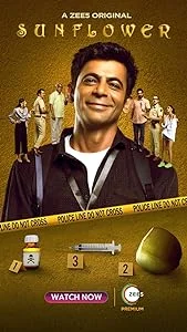 Sunflower Season 2 (2024) Hindi