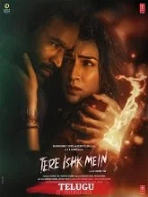 Tere Ishk Mein (2025) Hindi
