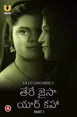 Tere Jaisa Yaar Kaha Part 1 Ullu Originals (2023) Hindi