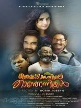Themmadi Kunnile Thanthonnikal (2025) Malayalam