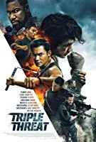 Triple Threat (2019) English